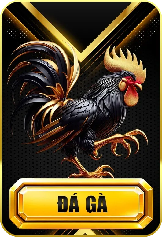 S8 Đá gà S8